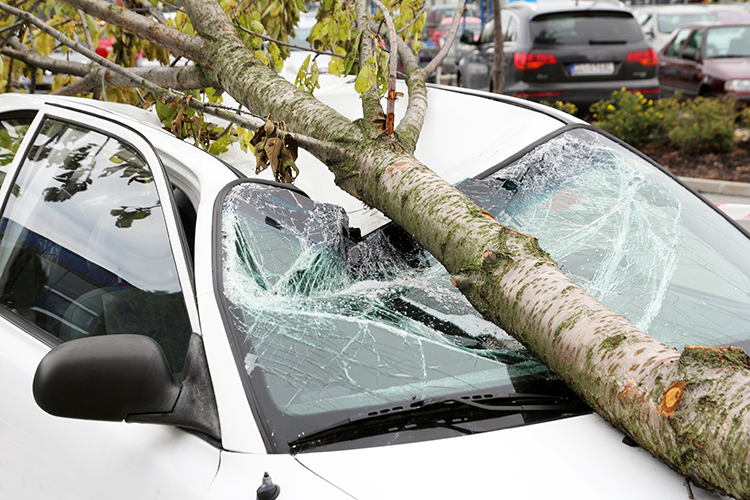 Does Car Insurance Cover Hurricane Damage?
